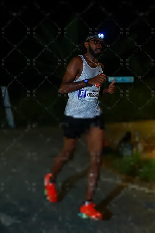 Photo ID 8439866