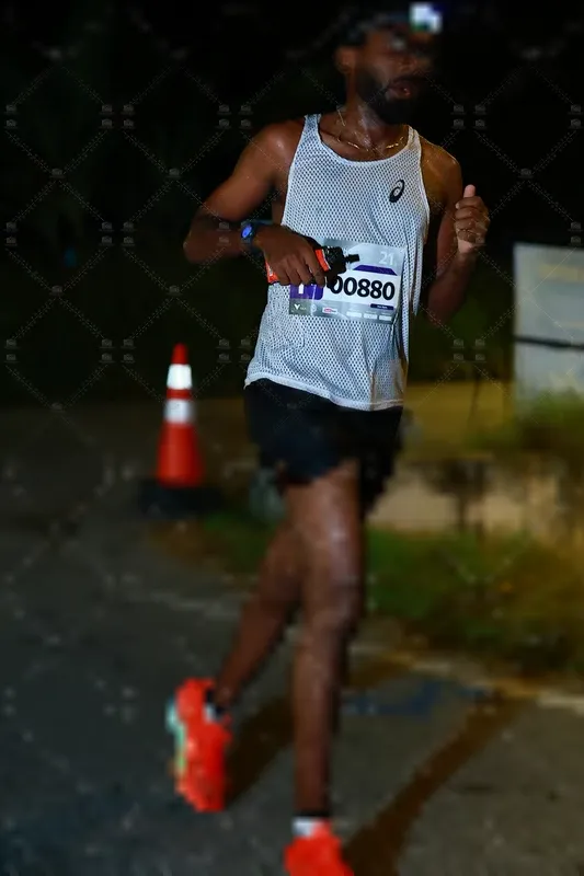Photo ID 8439869