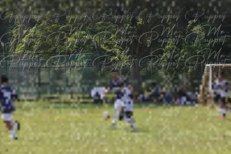 Photo ID 8441702