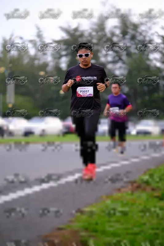 Photo ID 8442589