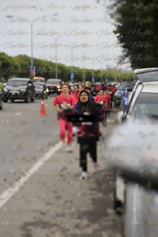 Photo ID 8444962
