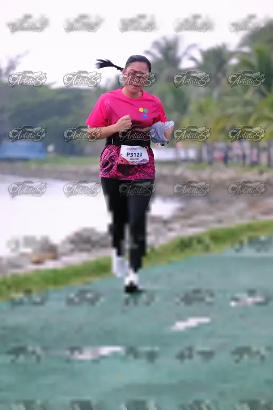 Photo ID 8445226