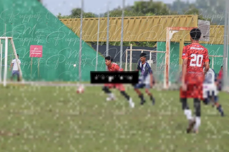 Photo ID 8445966