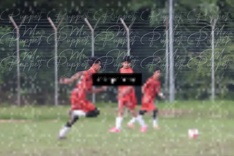 Photo ID 8446045