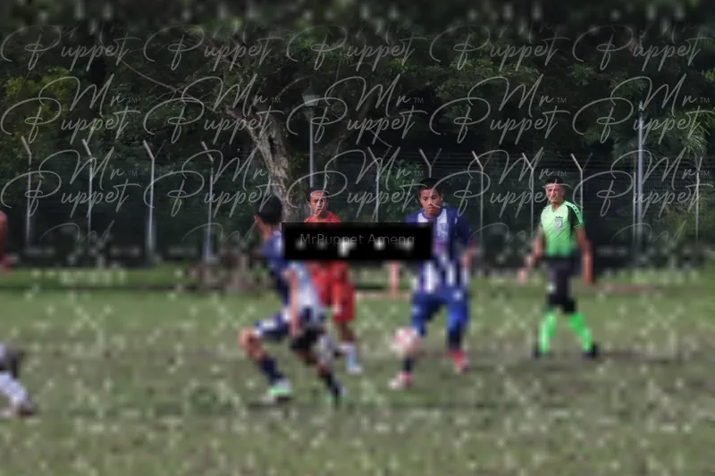 Photo ID 8446058