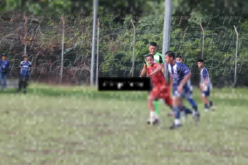 Photo ID 8446105