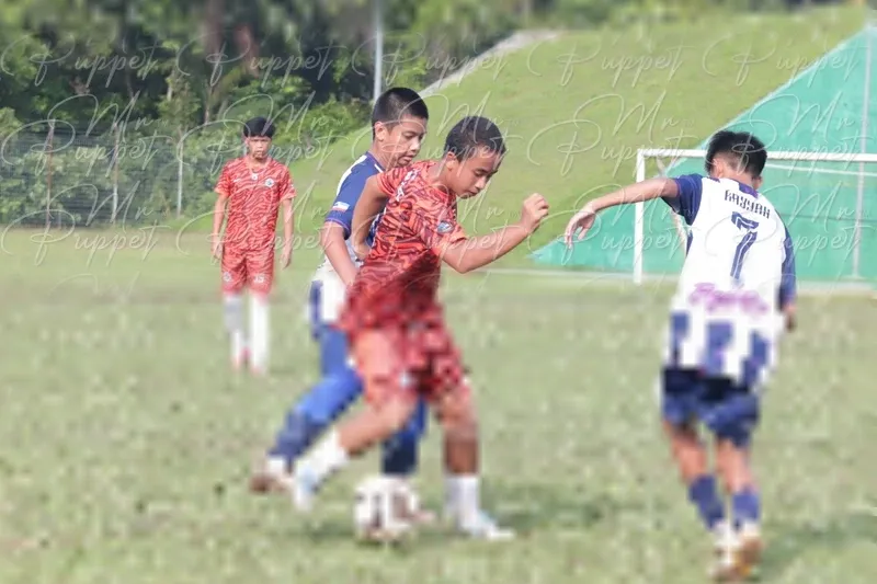 Photo ID 8446273