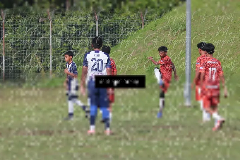 Photo ID 8446356