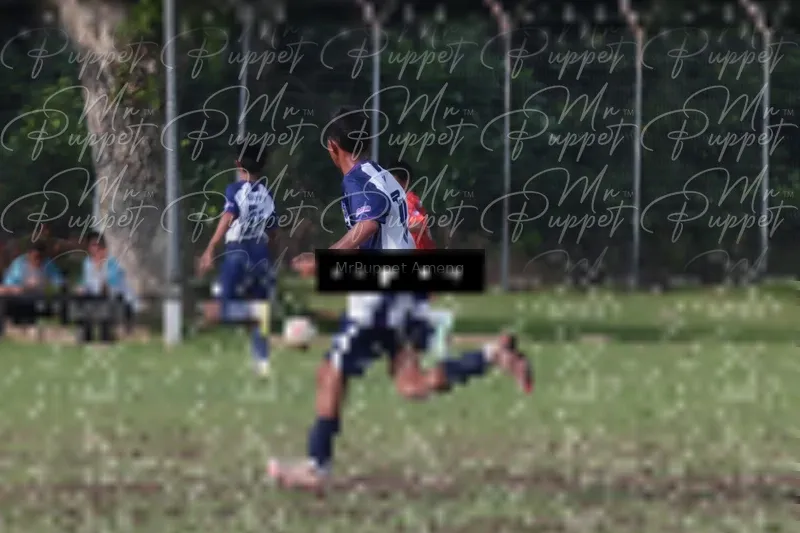 Photo ID 8446374