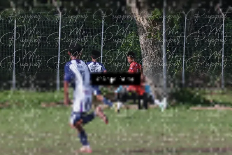 Photo ID 8446375