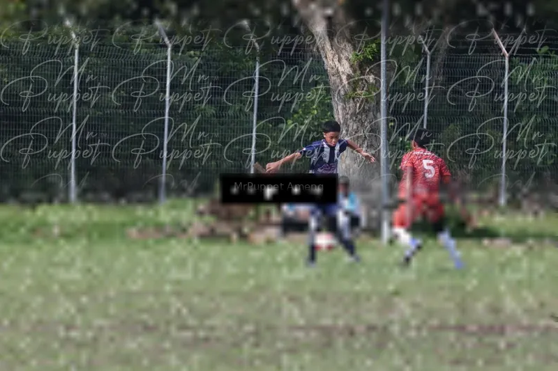 Photo ID 8446461