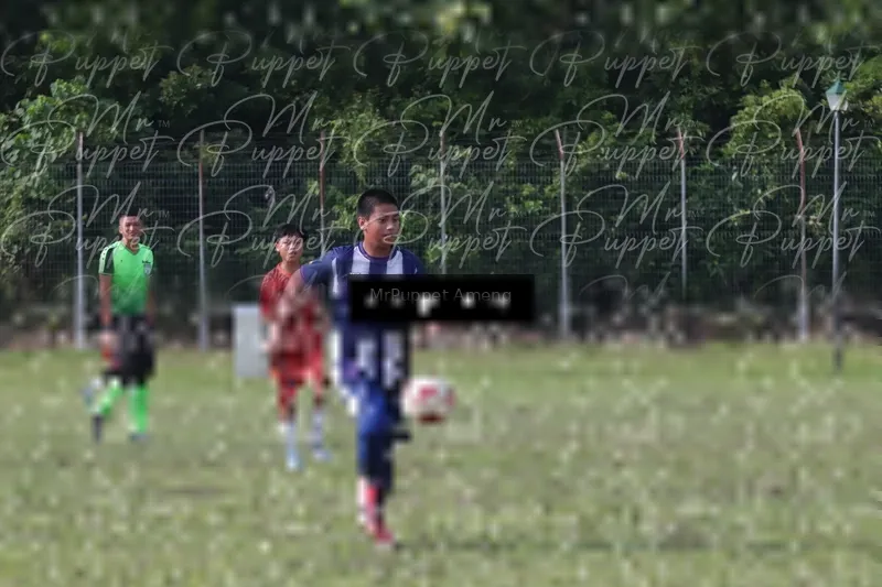 Photo ID 8446500