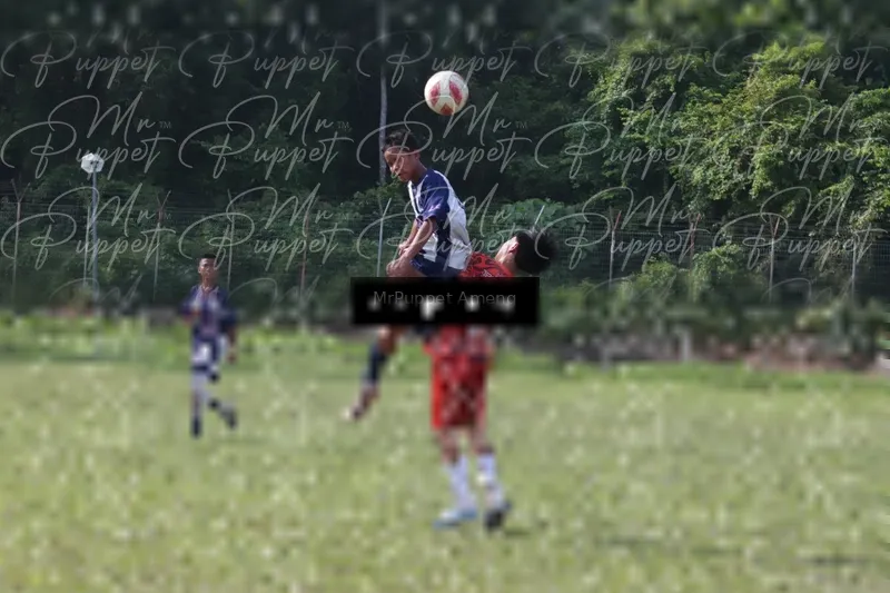 Photo ID 8446506