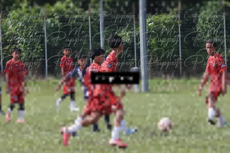 Photo ID 8446542