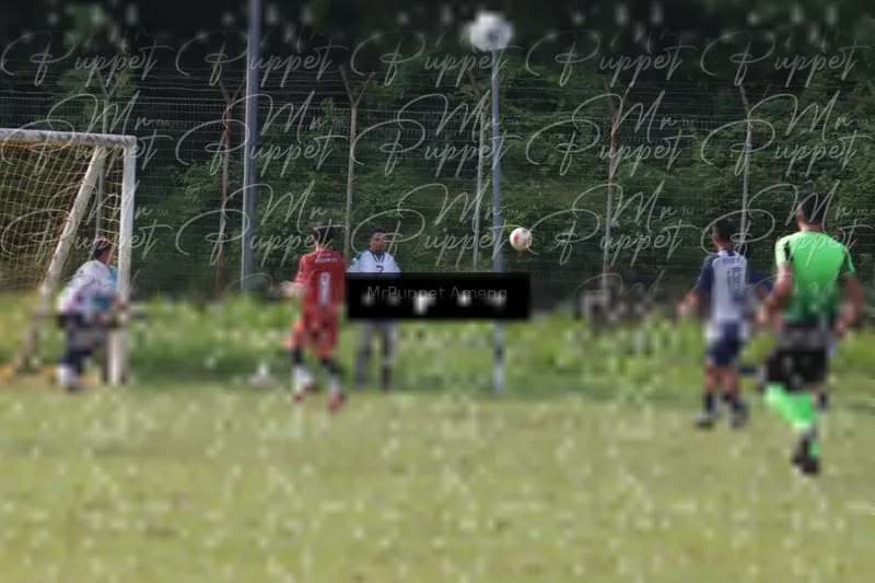 Photo ID 8446553