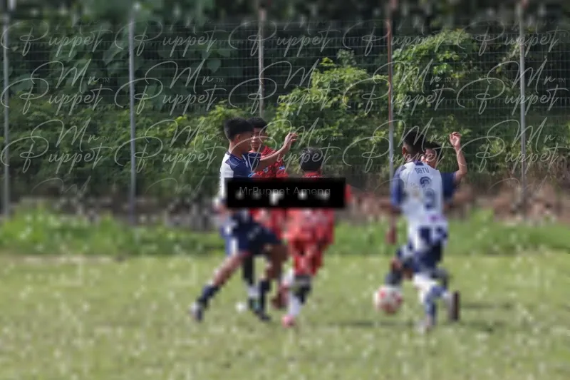 Photo ID 8446554