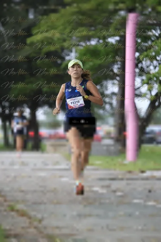 Photo ID 8446557