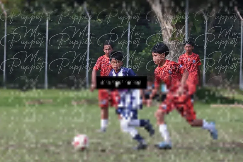 Photo ID 8446570