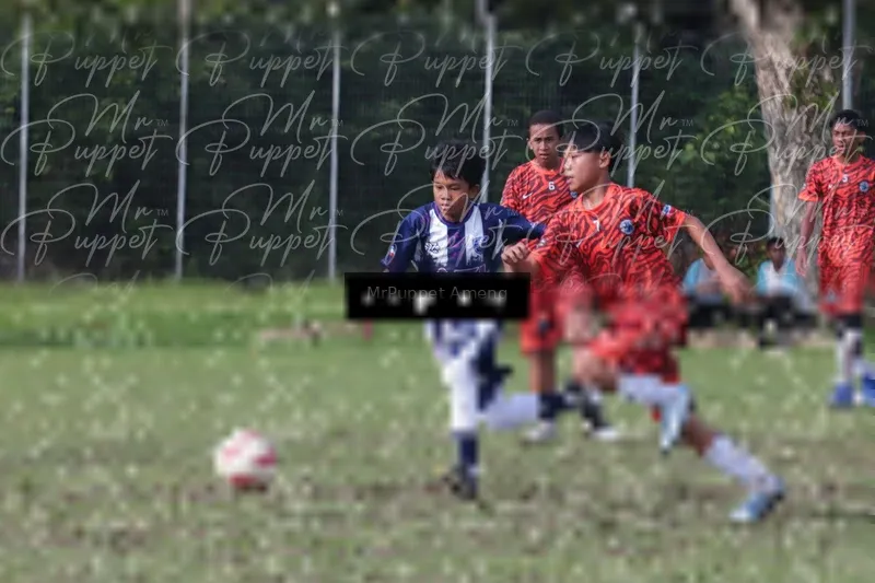 Photo ID 8446571