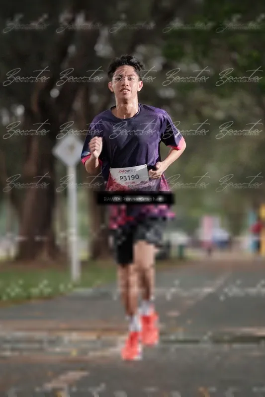 Photo ID 8447472