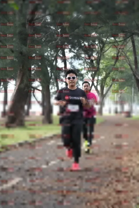Photo ID 8447686