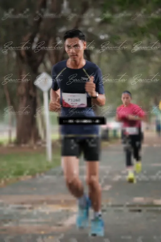 Photo ID 8448117