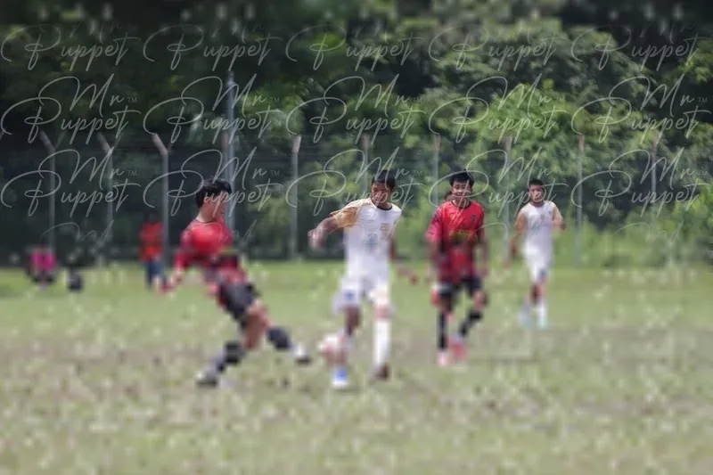 Photo ID 8448800