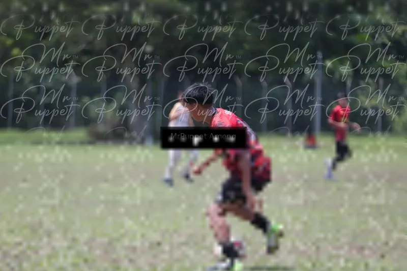 Photo ID 8448929