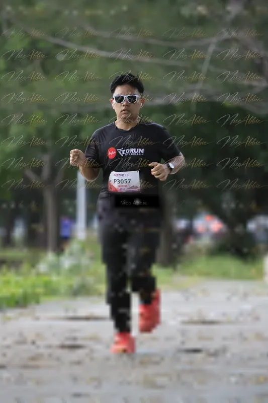 Photo ID 8449051
