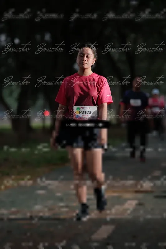 Photo ID 8449126