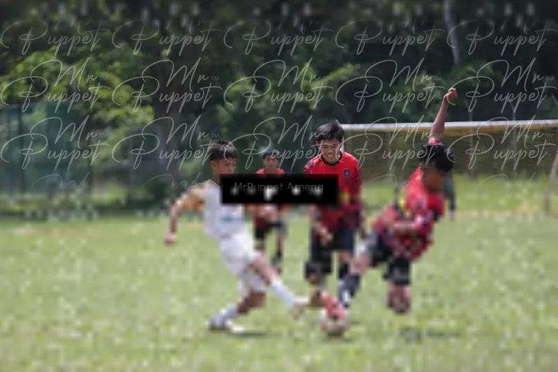 Photo ID 8449131