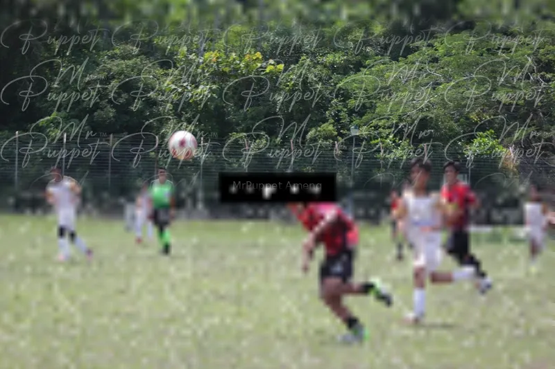 Photo ID 8449140