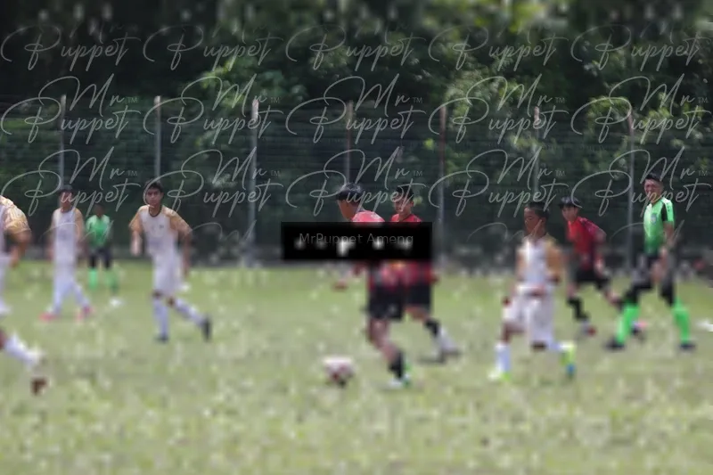 Photo ID 8449195