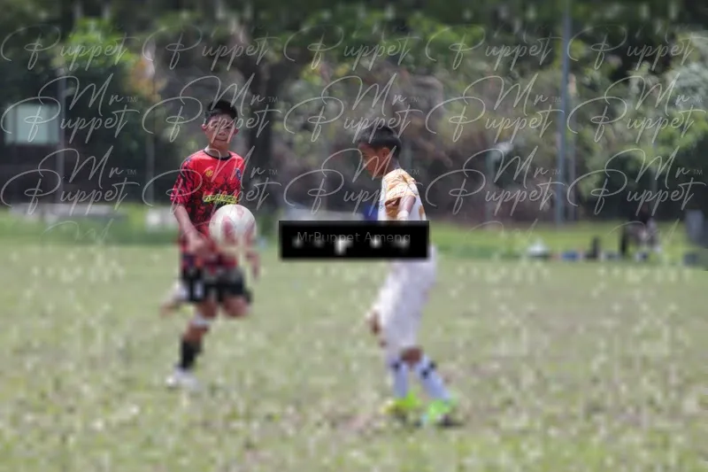 Photo ID 8449278