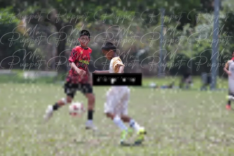 Photo ID 8449285