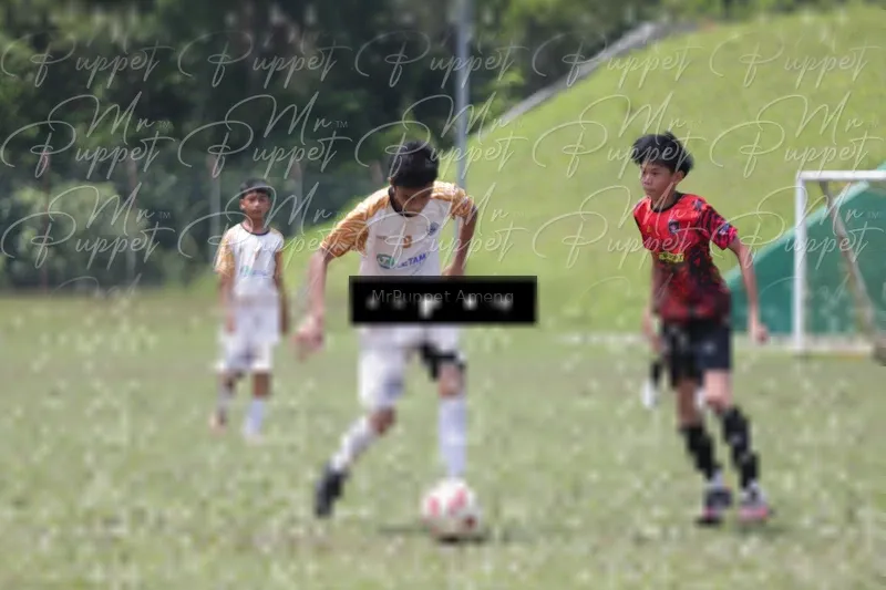 Photo ID 8449294