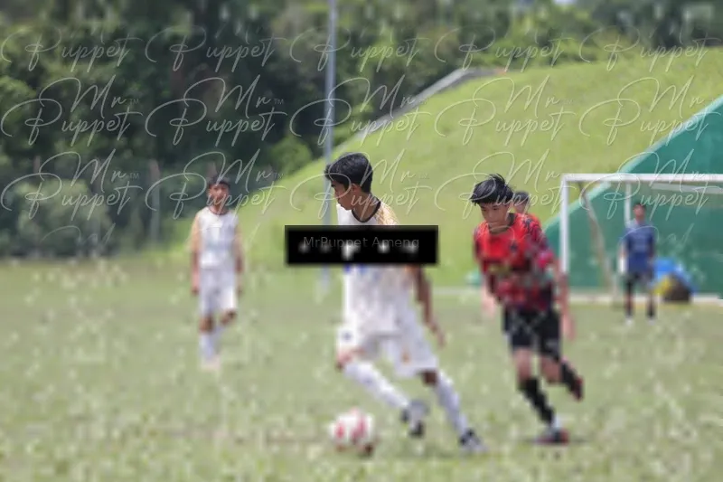 Photo ID 8449297