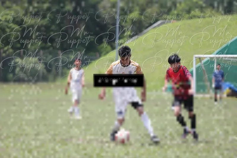 Photo ID 8449299