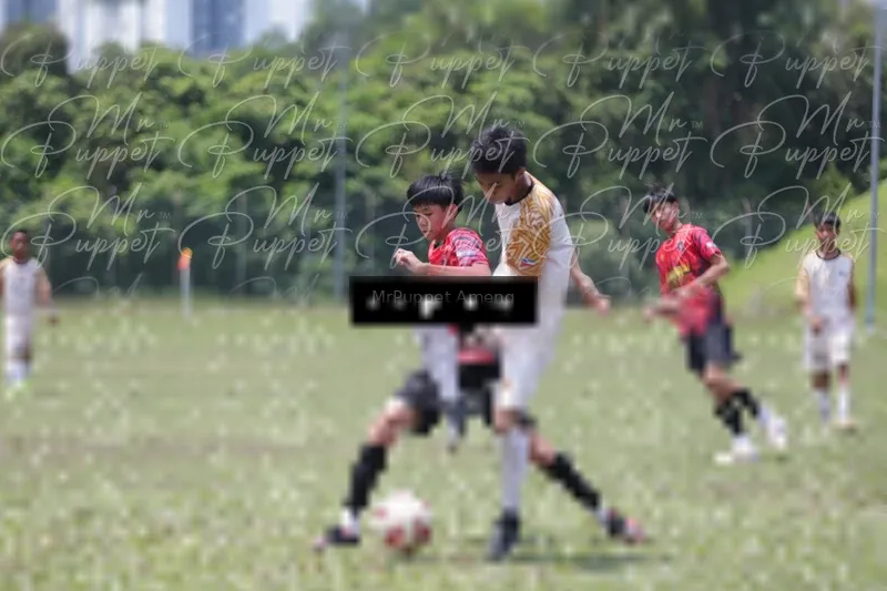 Photo ID 8449306