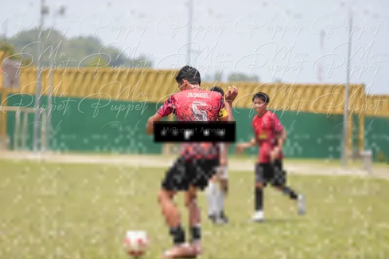 Photo ID 8449320
