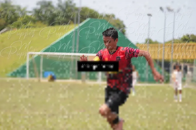 Photo ID 8449328