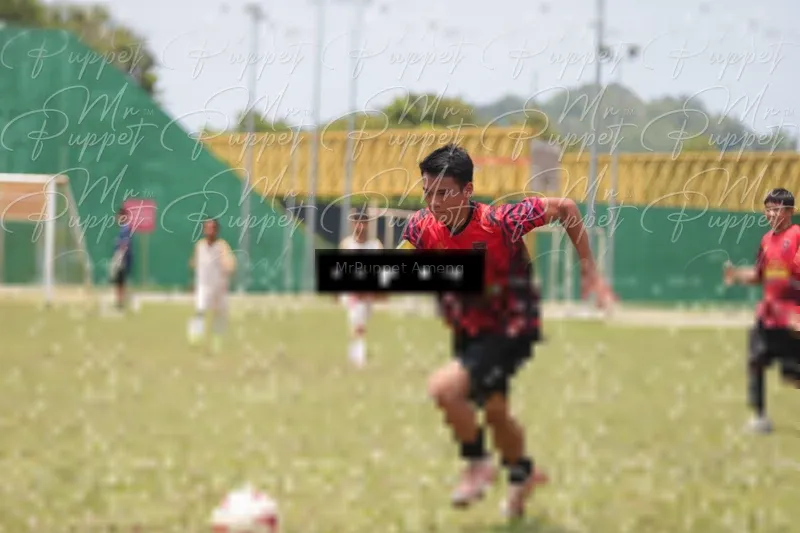 Photo ID 8449331