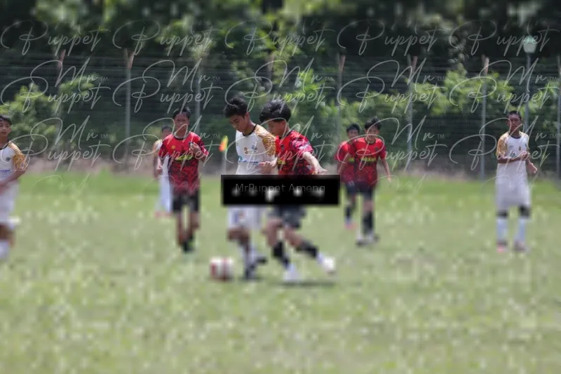 Photo ID 8449339