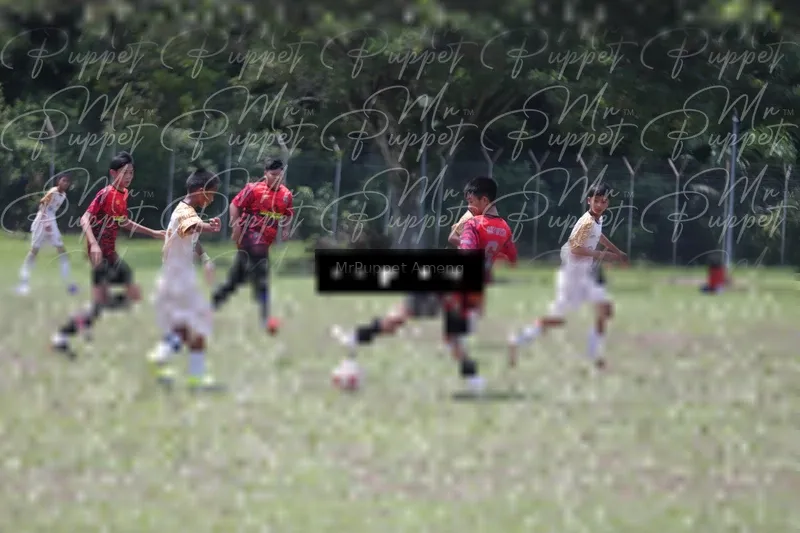Photo ID 8449355