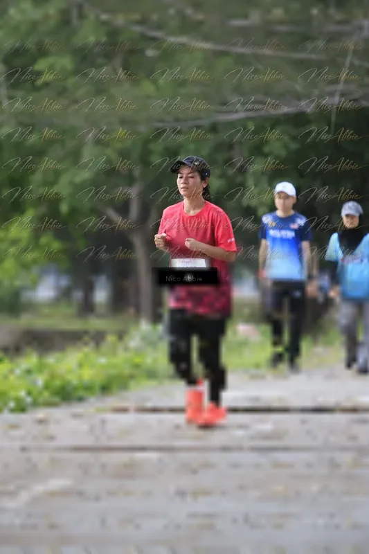 Photo ID 8449730