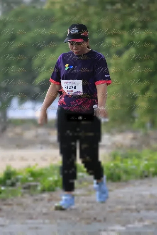Photo ID 8451329