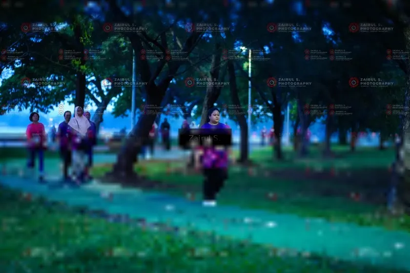 Photo ID 8454558