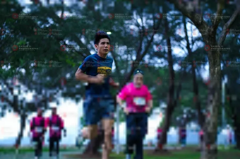 Photo ID 8456305
