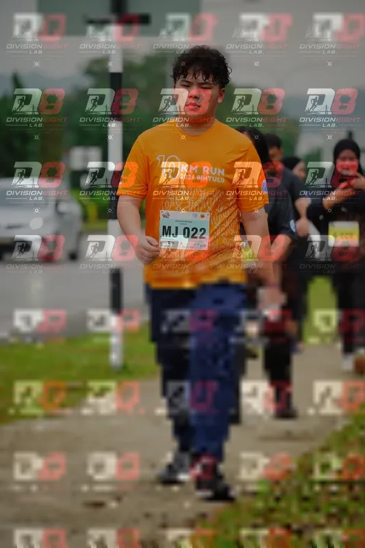 Photo ID 8474052