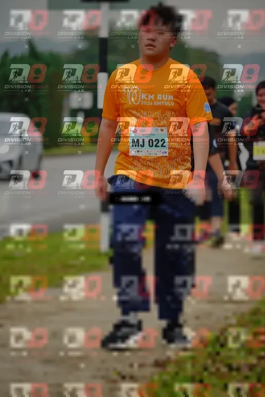 Photo ID 8474104